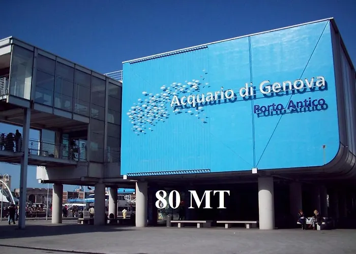 Acquario 11
