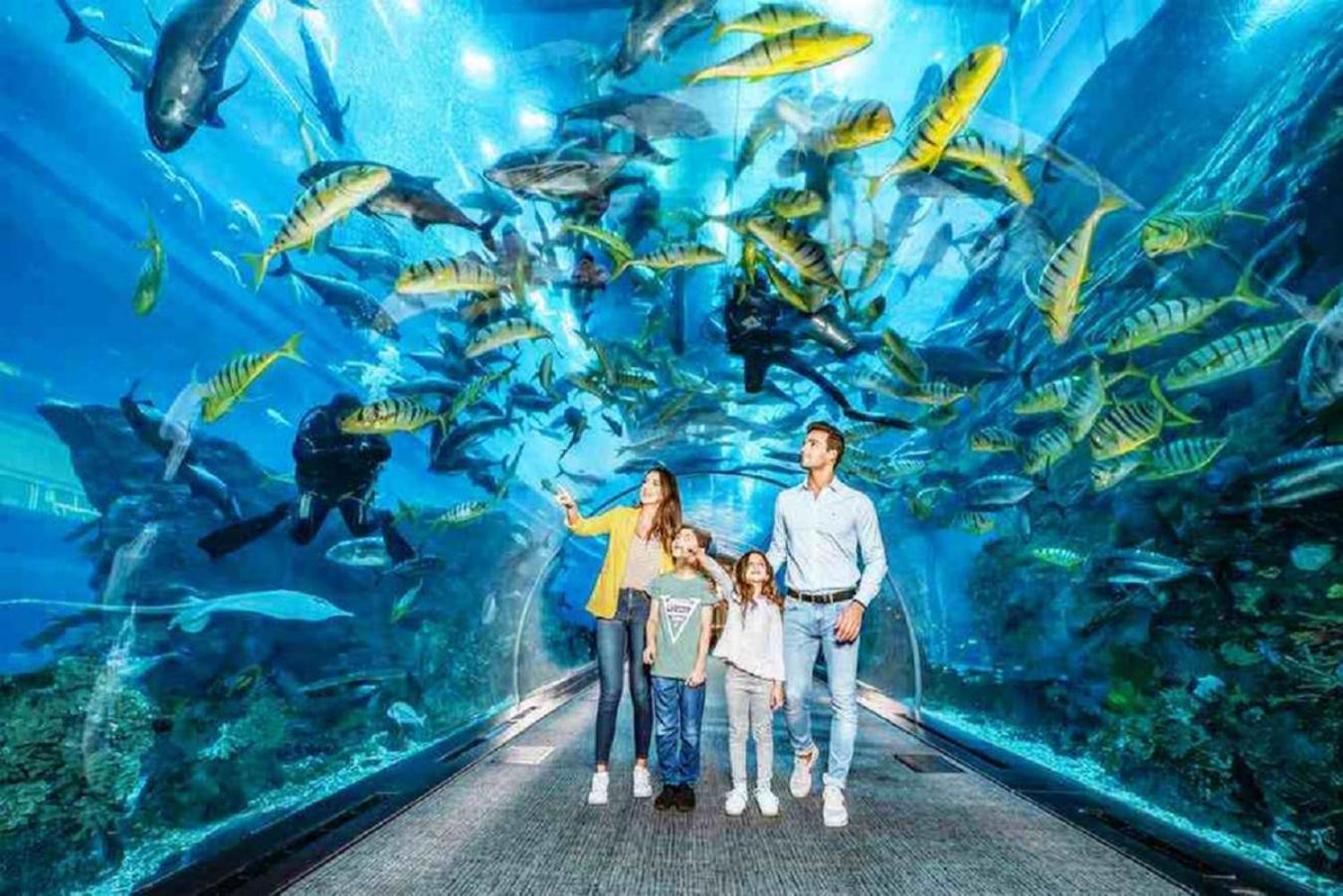 Acquario 11 Apartamento *